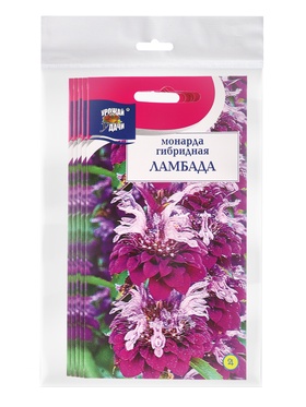 Набор семян Монарда гибридная "Ламбада", 5 шт.