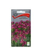 Набор семян Статица "Суприм карминная", 5 шт. - Фото 1