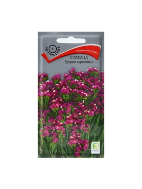 Набор семян Статица 