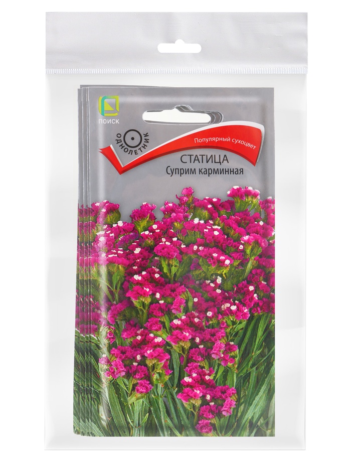 Набор семян Статица "Суприм карминная", 5 шт. - Фото 1