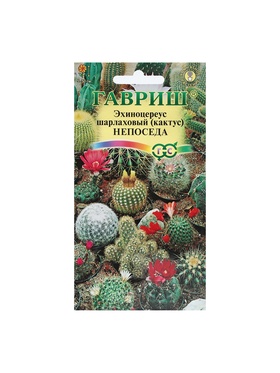 Набор семян комнатных Кактус 