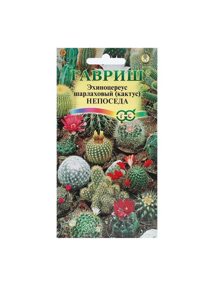 Набор семян комнатных Кактус "Непоседа",  5 шт. - Фото 1