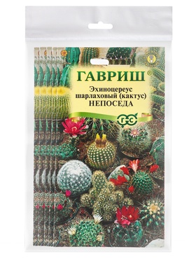 Набор семян комнатных Кактус "Непоседа",  5 шт.