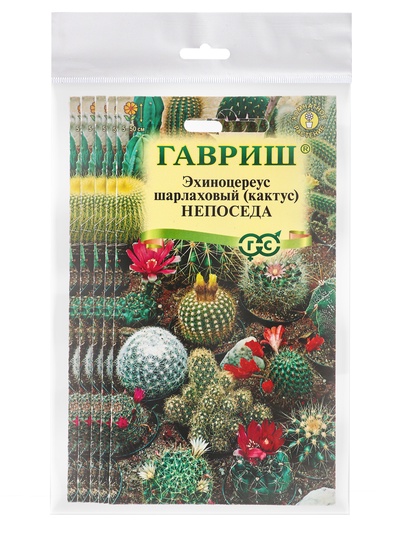 Набор семян комнатных Кактус "Непоседа", 5 шт.