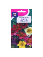 Набор семян Сальпиглоссис "Смесь", 5 шт. - фото 61956064