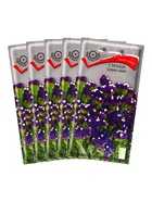 Набор семян Статица "Суприм синяя", 5 шт. 10930242