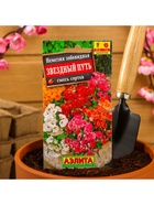 Набор семян Немезия "Звездный путь", смесь окрасок, О, 5 шт. - фото 61956066