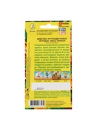 Набор семян Мимулюс "Крупноцветковый тигровый", смесь окрасок, О, 5 шт. - фото 61956069
