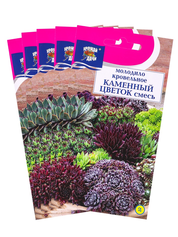 Набор семян Молодило "КАМЕННЫЙ ЦВЕТОК", смесь, 5 шт. - Фото 1