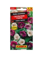 Набор семян Кобея "Гжельские узоры", 4 шт. - фото 809351190