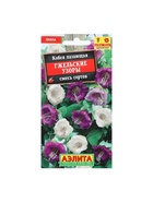 Набор семян Кобея "Гжельские узоры", 4 шт. - фото 61956074