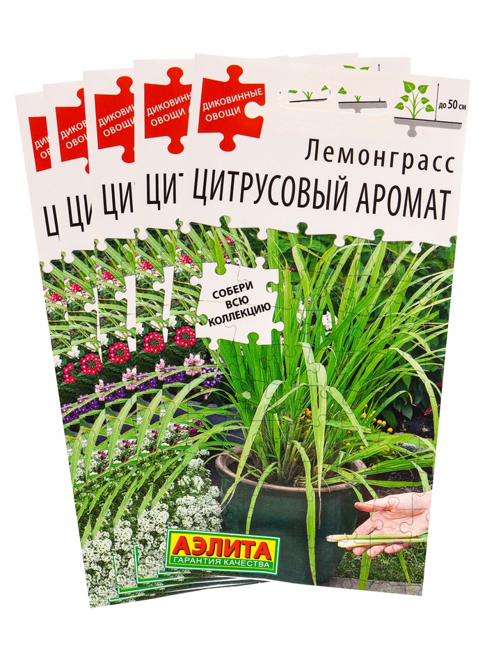 Набор семян Лемонграсс "Цитрусовый аромат", 5 шт. - Фото 1