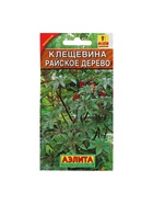 Набор семян Клещевина "Райское дерево", О, 5 шт. - фото 61956081