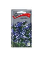 Набор семян Статица "Суприм голубая", 5 шт. - Фото 1