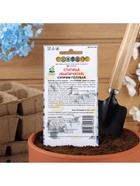 Набор семян Статица "Суприм голубая", 5 шт. - фото 61956086