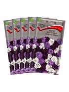 Набор семян Иберис зонтичный "Ежевичные меренги", 5 шт. 10930528