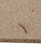 УЦЕНКА Кровать "ЭКО", 1200х2000, Белый 10964398 - фото 3918480