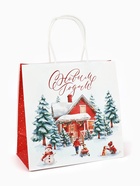 Набор пакетов крафтовых «Новогодний», 10 шт, 22 × 22 × 11 см 10864369