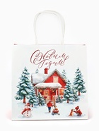 Набор пакетов крафтовых «Новогодний», 10 шт, 22 × 22 × 11 см 10864369