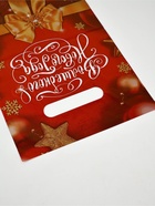 Набор подарочных пакетов, полиэтилен, 4 вида, 20 шт, «Новый год», 20 × 30 см 10864382