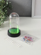 Фигурка светящаяся «Бабочки на колбе», LED-ночник, 2×AG13, наклейки-бабочки, 8.5×8.5×15 см - фото 63129311