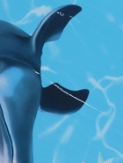 УЦЕНКА Панель ПВХ, Водный мир (узор) 2,6х0,25 м - фото 14992538