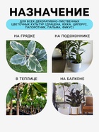 Грунт для всех видов декоративно-лиственных «Рецепты Дедушки Никиты», 5 л - Фото 2