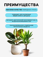 Грунт для всех видов декоративно-лиственных «Рецепты Дедушки Никиты», 5 л (комплект 2 шт) - фото 65567037