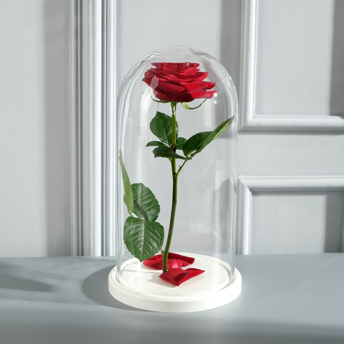 УЦЕНКА Стеклянный купол-клош на деревянной подставке "Венсан - 1", 30х15 см, белый - Фото 1