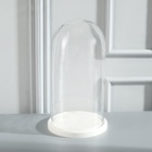 УЦЕНКА Стеклянный купол-клош на деревянной подставке "Венсан - 1", 30х15 см, белый 10967048