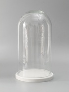 УЦЕНКА Стеклянный купол-клош на деревянной подставке "Венсан - 1", 30х15 см, белый - Фото 3