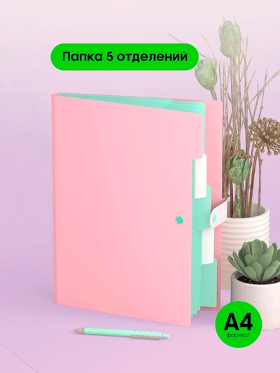 Папка А4, 5 отделений, Calligrata, 600 мкм, на кнопке, розовая, матовая