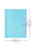 Папка А4, 5 отделений, Calligrata, 600 мкм, на кнопке, голубая, матовая - Фото 2