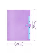 Папка А4, 5 отделений, Calligrata, 600 мкм, на кнопке, сиреневая, матовая - Фото 2
