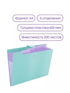 Папка А4, 5 отделений, Calligrata, 600 мкм, на кнопке, зеленая, матовая - Фото 3