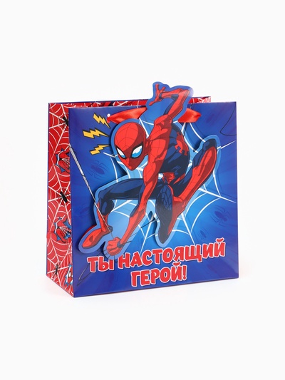 Пакет подарочный «Супергерой», объёмный декор, 22×22×10 см