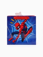 Пакет подарочный «Супергерой», 22 × 22 × 10 см 10906196