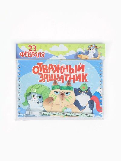 Подарочный набор, двойной блокнот с заданиями, ручка «Отважный защитник»