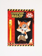 Набор: ручка с фонариком и невидимыми чернилами, блокнот А6, 16 л "Шпионский набор" 10900534