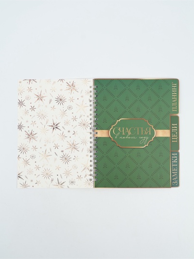 Ежедневник-планер с разделителями 45 л. «Верь в мечту»