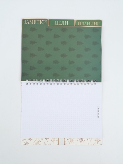 Ежедневник-планер с разделителями 45 л. «Верь в мечту»