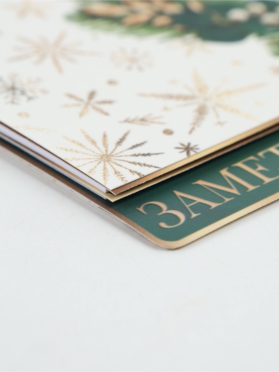 Ежедневник-планер с разделителями 45 л. «Верь в мечту»