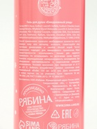 Подарочный набор новогодний «Пряник», гель для душа 2 шт. × 150 мл, мочалка, URAL LAB 10894941