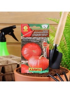 Набор семян Тыква крупноплодная «Сладкий пирог», 5 шт., «Мой выбор» - фото 63130596