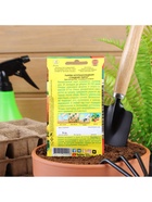 Набор семян Тыква крупноплодная «Сладкий пирог», 5 шт., «Мой выбор» - фото 63130597