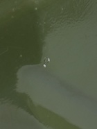 УЦЕНКА Канистра стальная для ГСМ ZARYA, 20 л, металлическая, крышка с рычагом - Фото 12