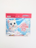 Подарочный набор, двойной блокнот с заданиями, ручка «Котик» 10895191