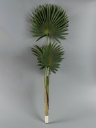 УЦЕНКА Дерево искусственное «Ливистона» 90 см - Фото 3