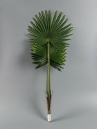 УЦЕНКА Дерево искусственное «Ливистона» 90 см - Фото 4