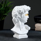 УЦЕНКА Ваза гипс настольная "Бюст Давида" перламутр, 16х9х10 см, белый - Фото 2